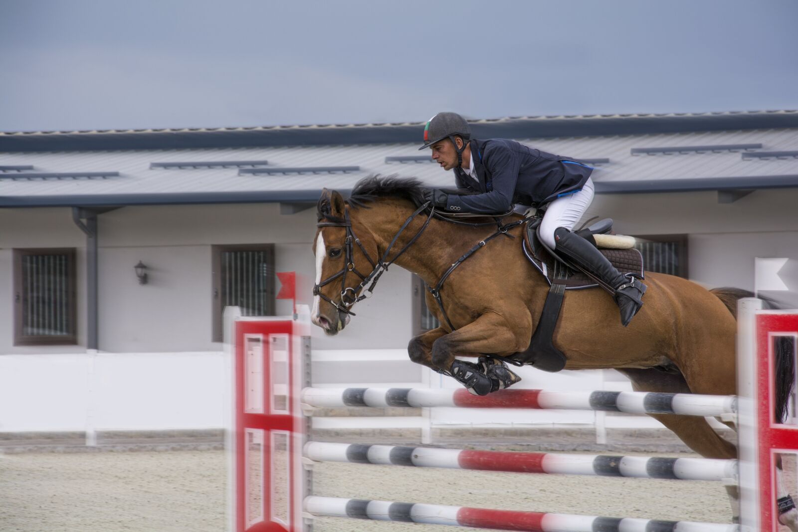 Nikon D7100 sample photo. Horse, jockey, sport photography
