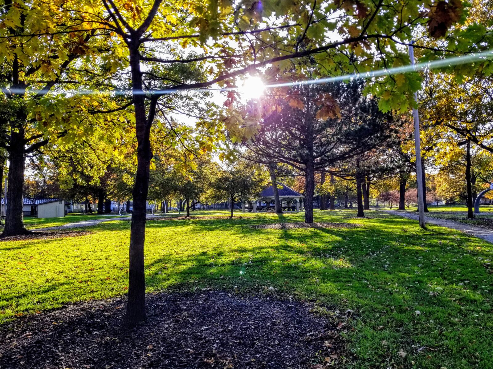 Samsung Galaxy S8 sample photo. Fall, park, autumn photography