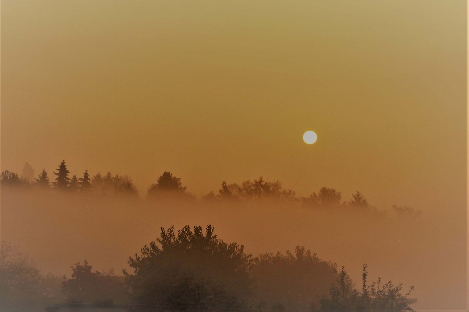 Canon EOS 1000D (EOS Digital Rebel XS / EOS Kiss F) sample photo. Nature, morning, landscape photography