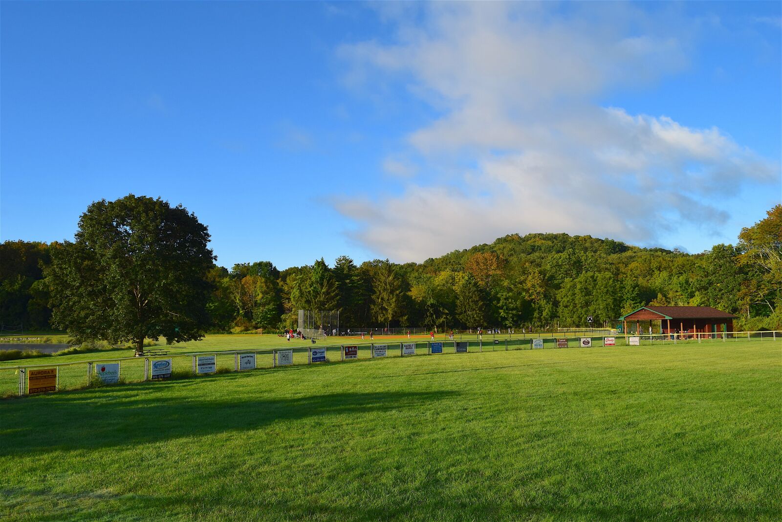 Nikon D3300 sample photo. Field, sunrise, green photography