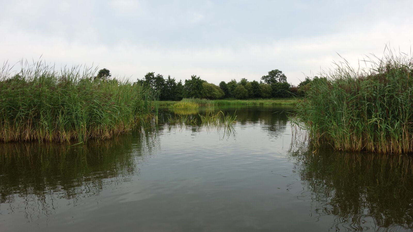 Sony Cyber-shot DSC-RX100 sample photo. Serene, quiet, water photography