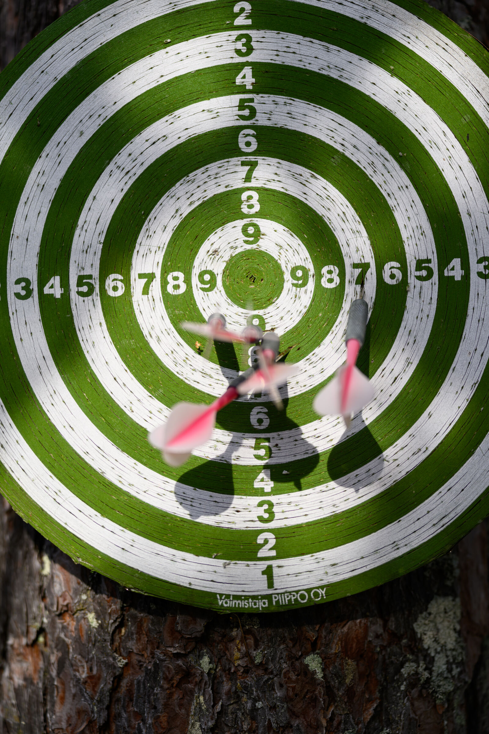 Nikon Z9 sample photo. Old dart board photography