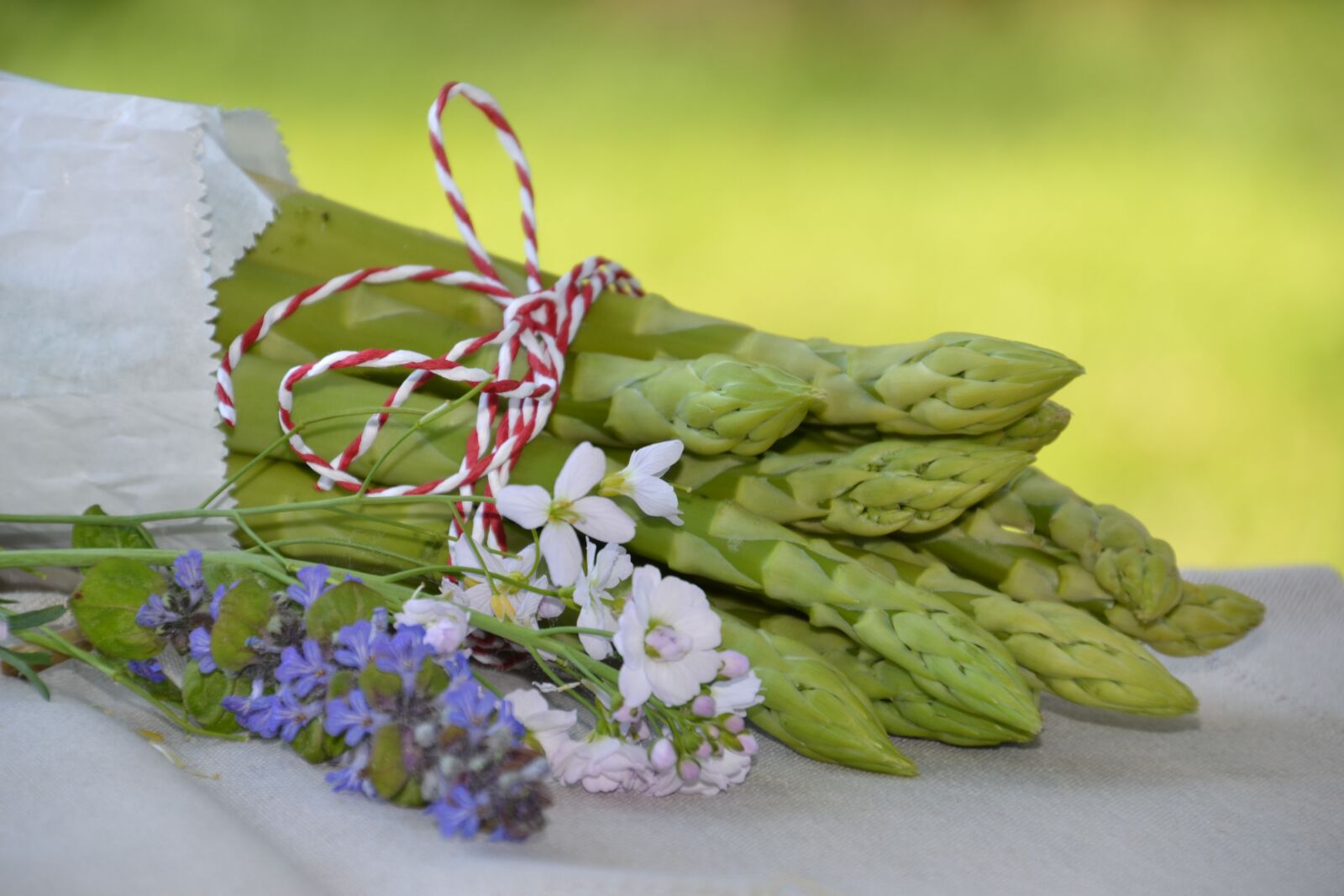 Nikon D3100 sample photo. Asparagus, green, green asparagus photography