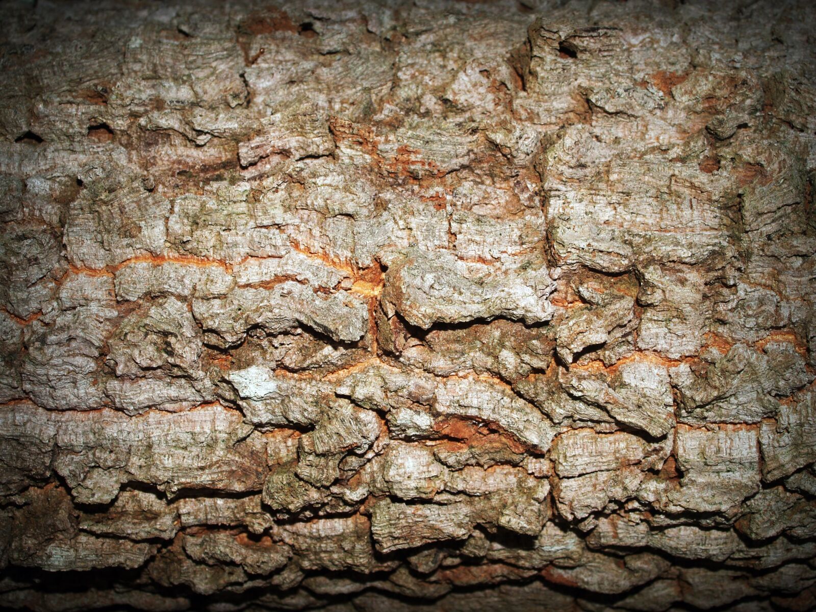 Olympus E-300 (EVOLT E-300) sample photo. Nature, rocks, rocky, rockyscape photography