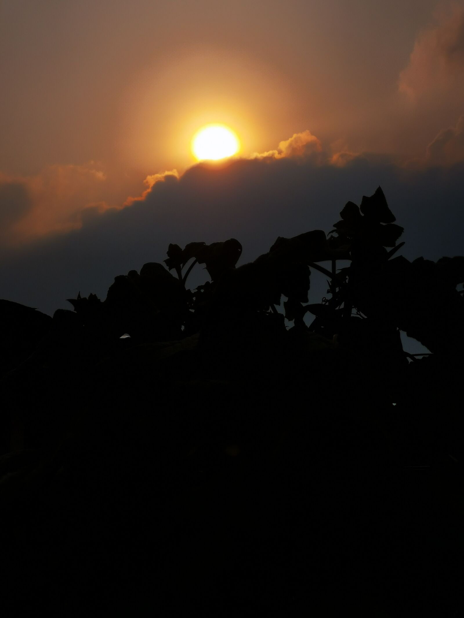 HUAWEI Mate 20 Pro sample photo. Black clouds, sun, sunset photography