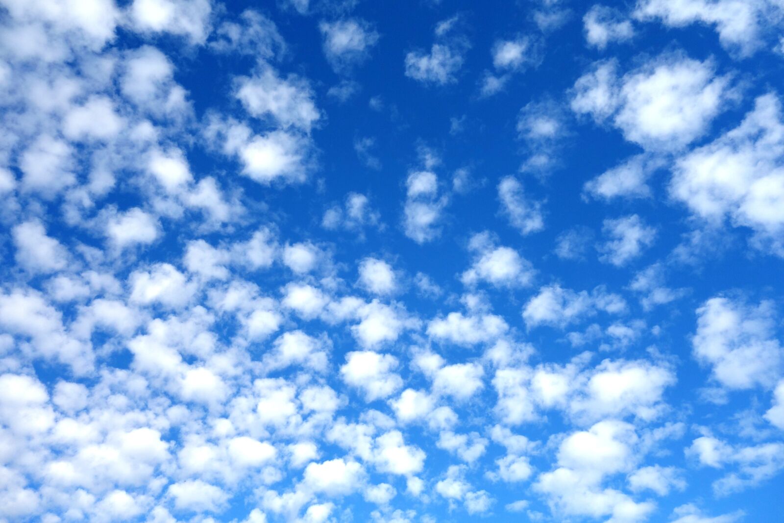 Sony Cyber-shot DSC-RX100 sample photo. Sky, clouds, schäfchen photography