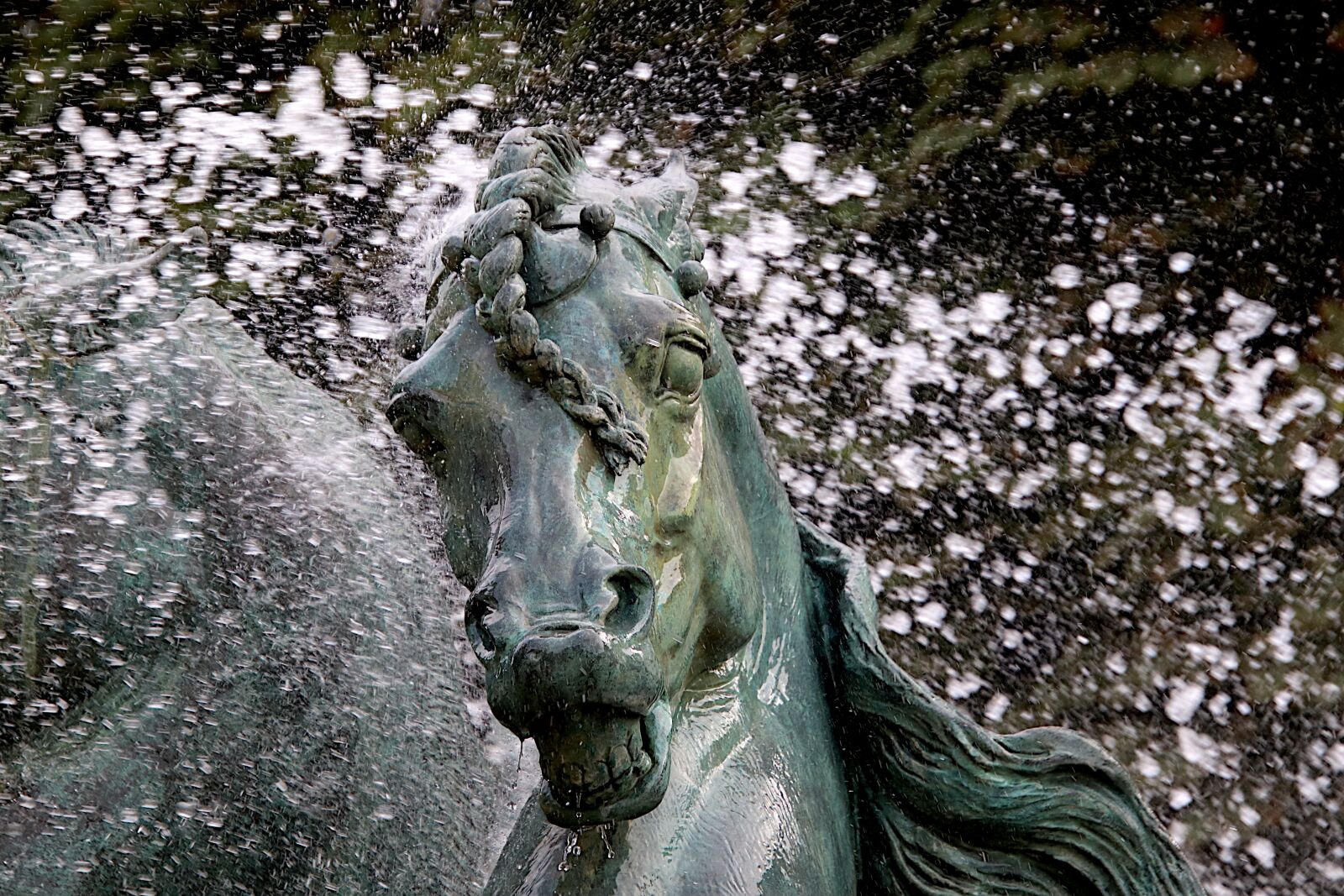 Canon EOS 800D (EOS Rebel T7i / EOS Kiss X9i) + Tamron 18-400mm F3.5-6.3 Di II VC HLD sample photo. Sculpture, horse, fountain photography