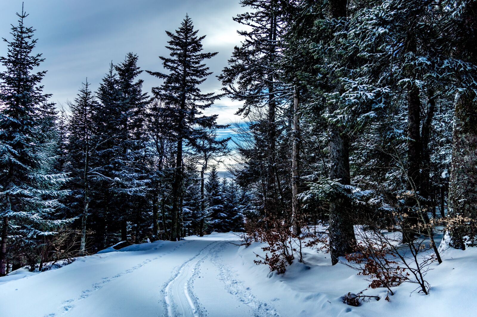 Nikon D3200 sample photo. Snow, winter, cold photography