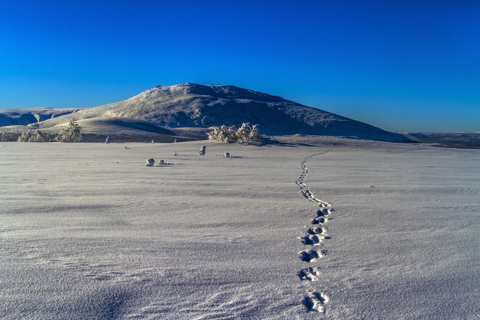 Canon EF-S 17-85mm F4-5.6 IS USM sample photo. Landscape, mountain, snow photography