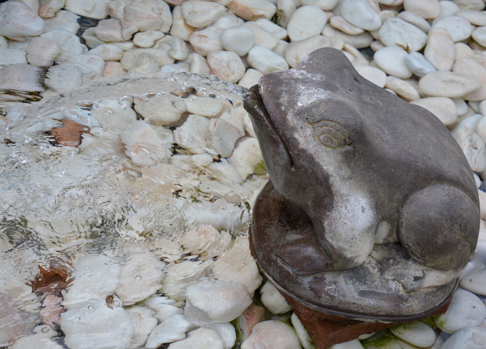 Nikon D5200 sample photo. Frog, fountain, water photography