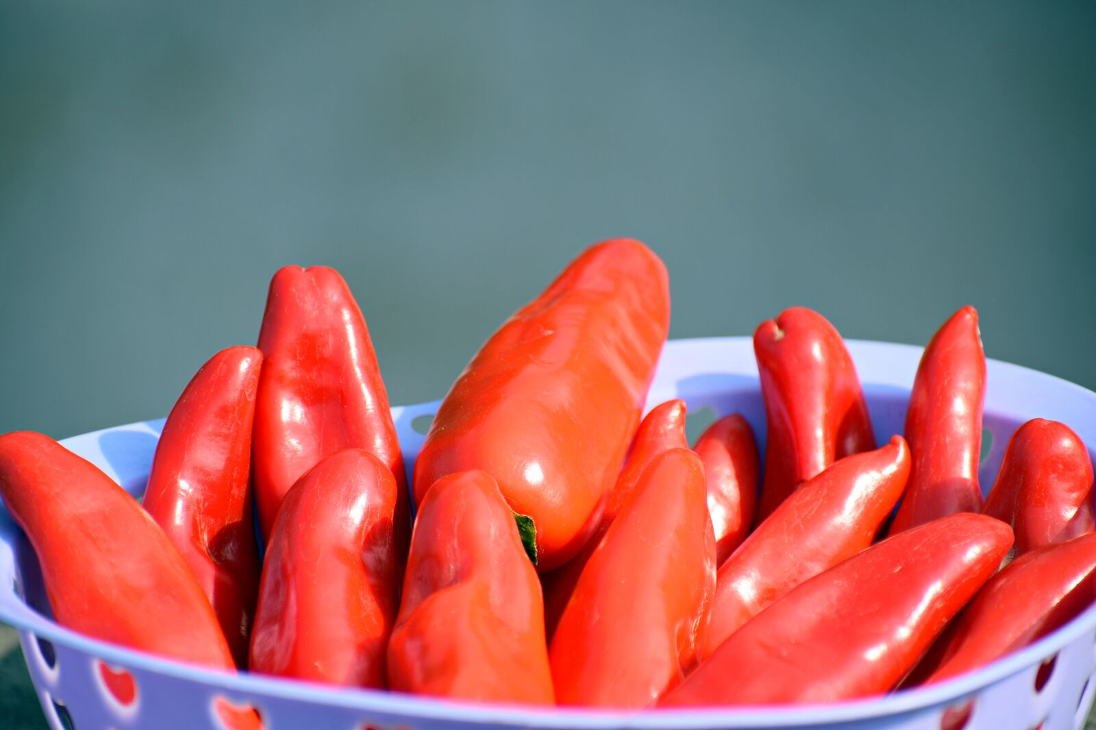 Nikon D3300 sample photo. Red, chilies, food photography