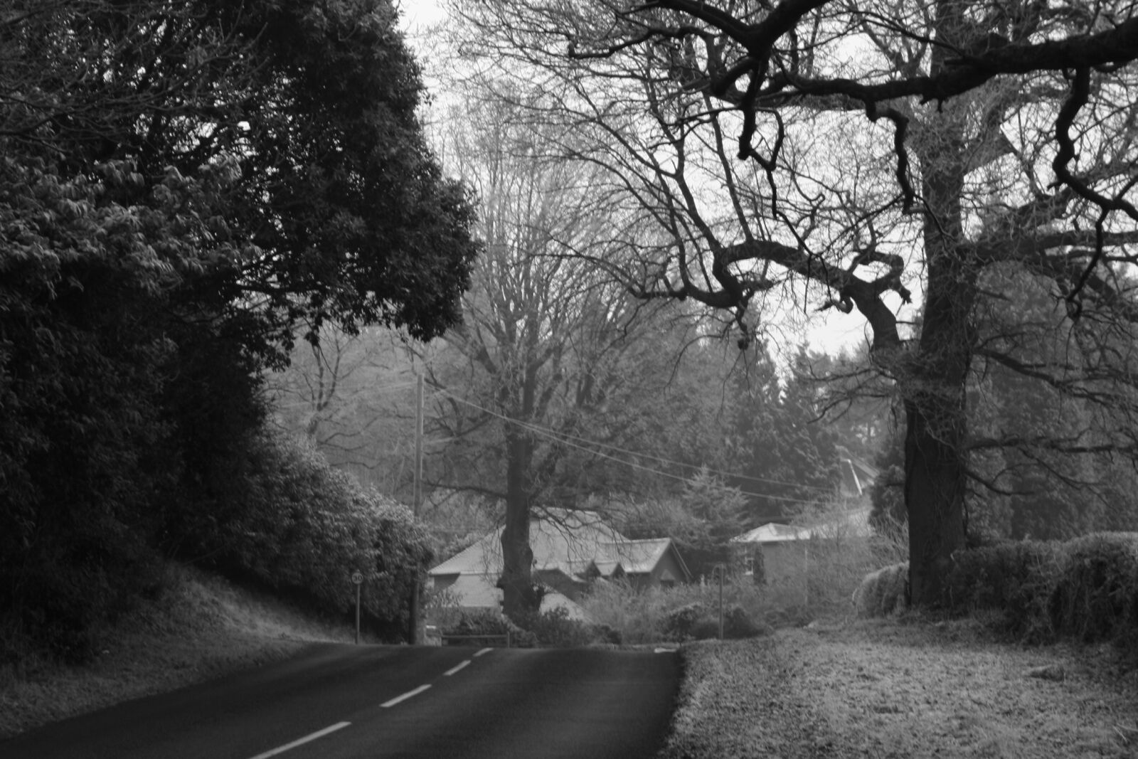 Canon EOS 350D (EOS Digital Rebel XT / EOS Kiss Digital N) sample photo. Frost, road, trees, winter photography