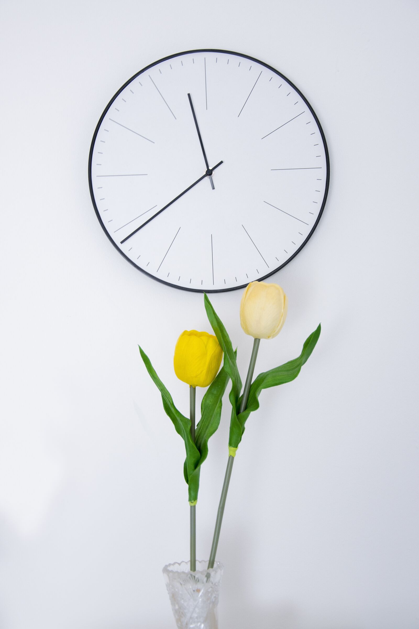 Nikon D5300 sample photo. Tulip, yellow, flower photography
