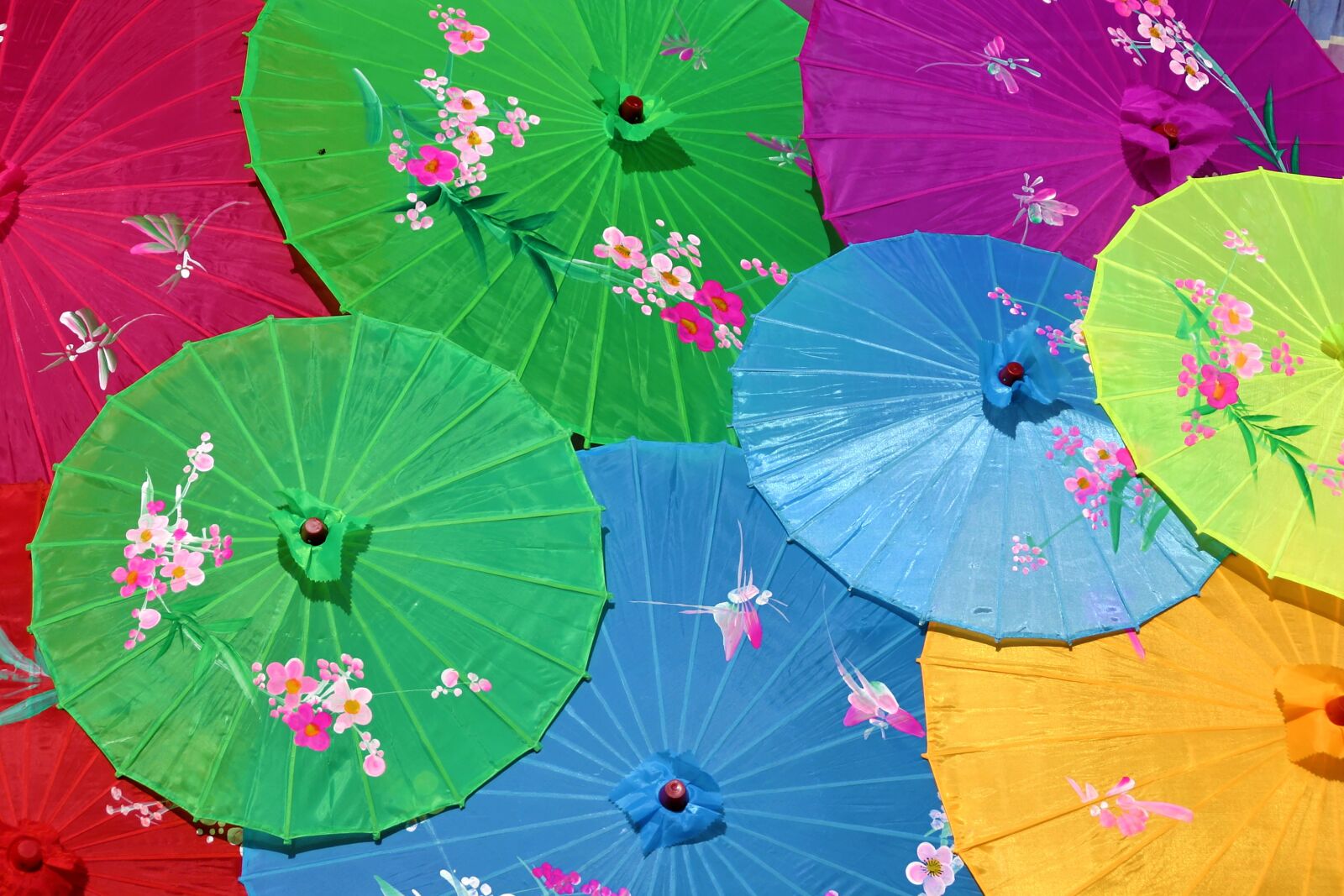 Canon EOS 10D sample photo. Chinese umbrellas, screens, colorful photography