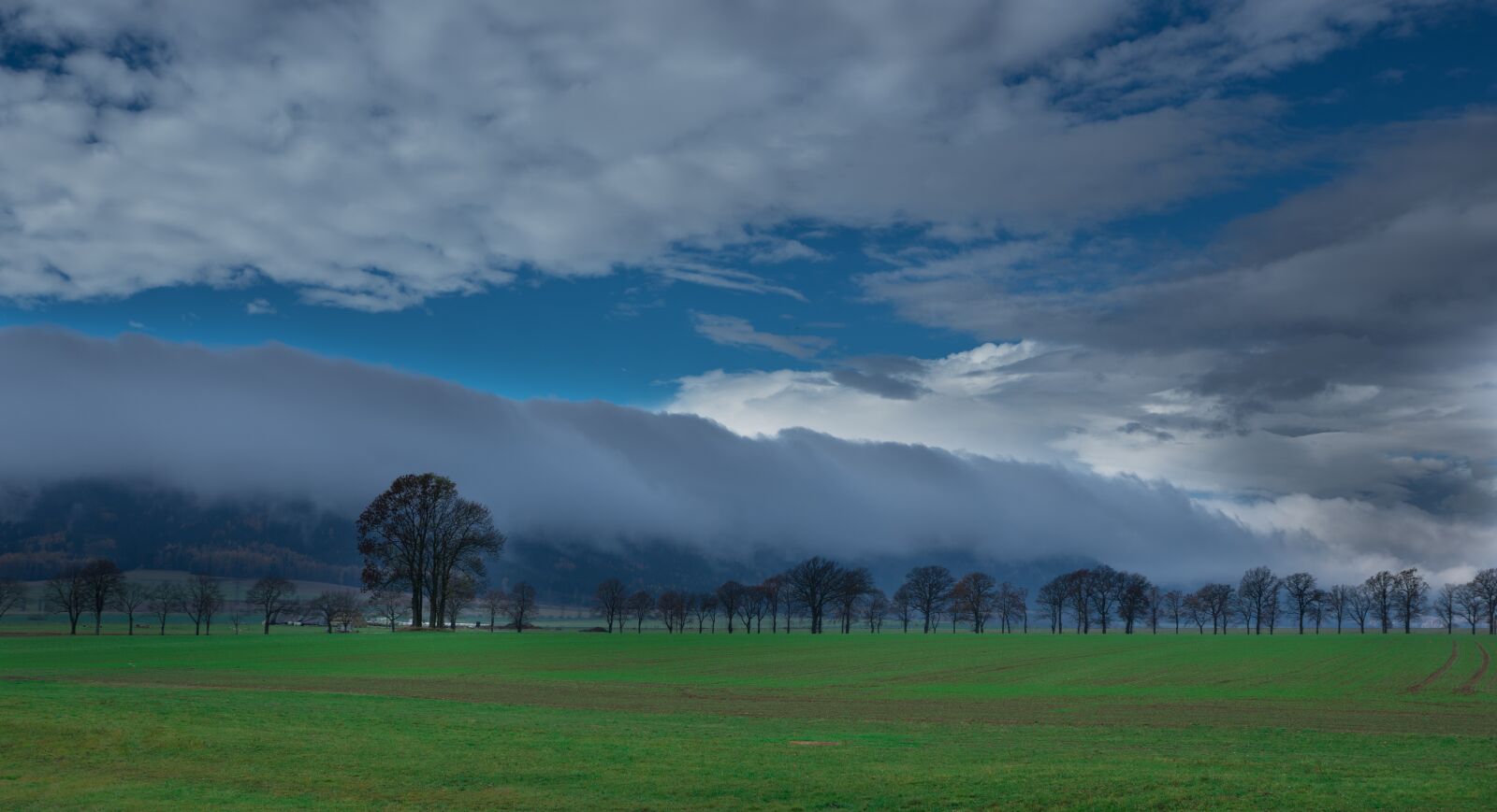 Sony DT 16-50mm F2.8 SSM sample photo. Nature, landscape photography