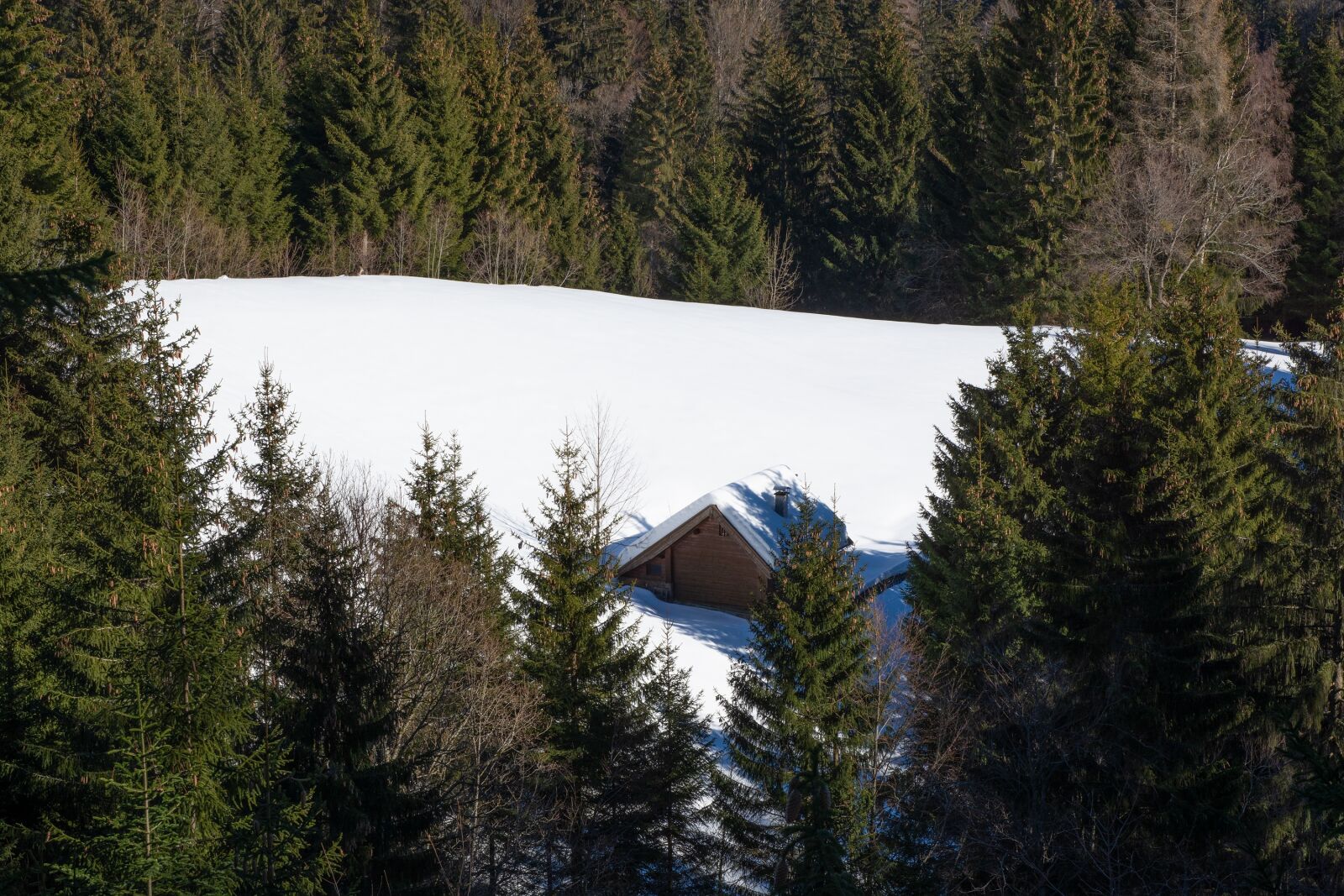 Nikon D7100 sample photo. Winter, landscape, wintry photography