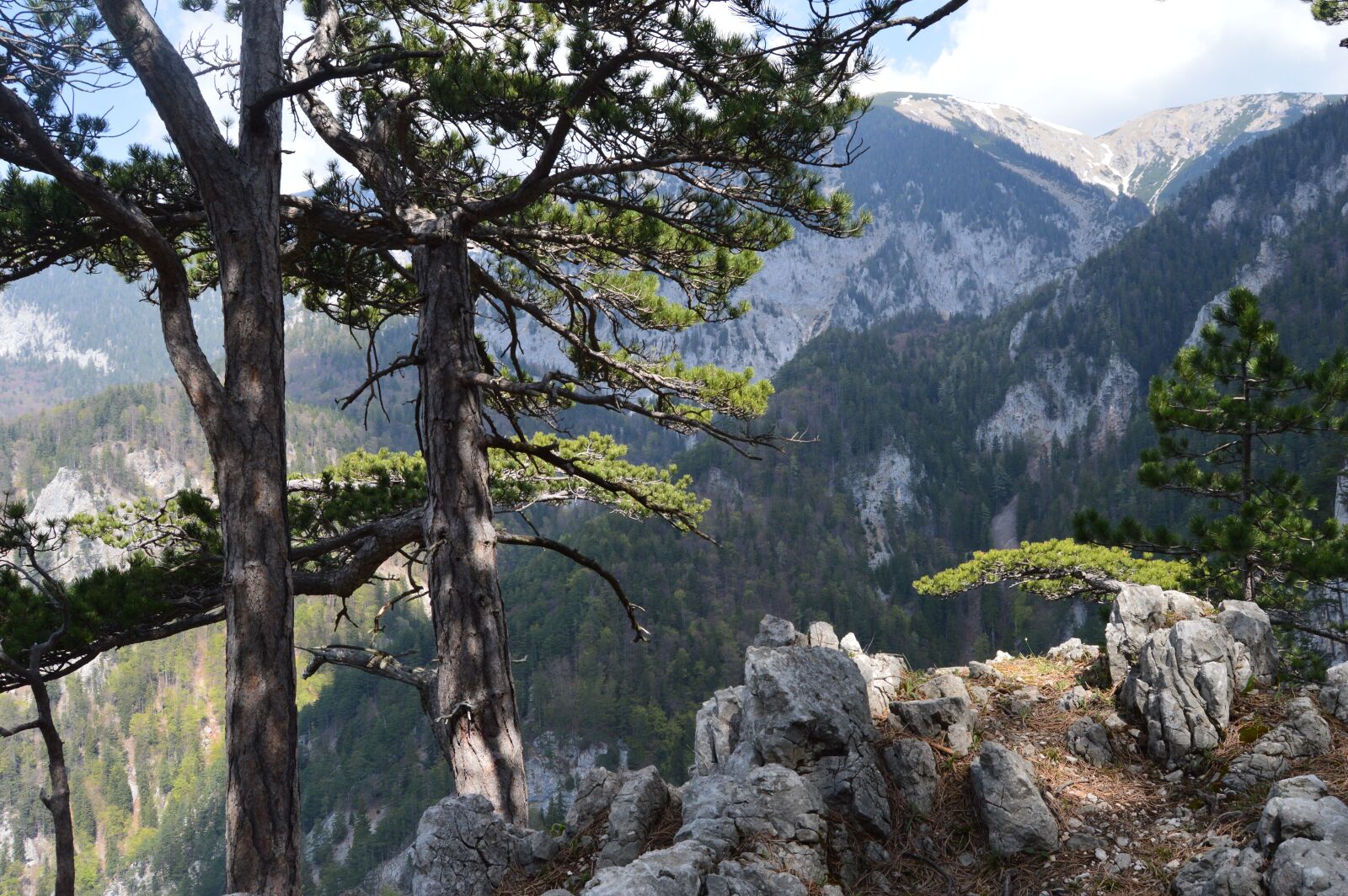 Nikon D3200 sample photo. Snow mountain, rax, lower photography