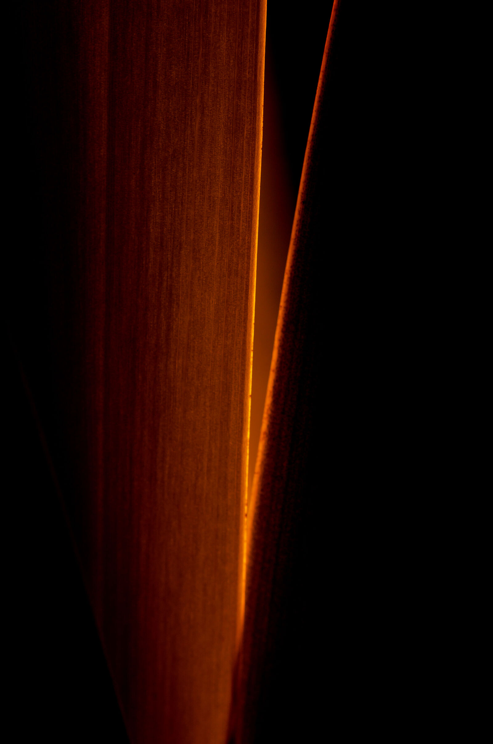 Nikon D7000 sample photo. Abstract, abstrato, background, brazilian photography