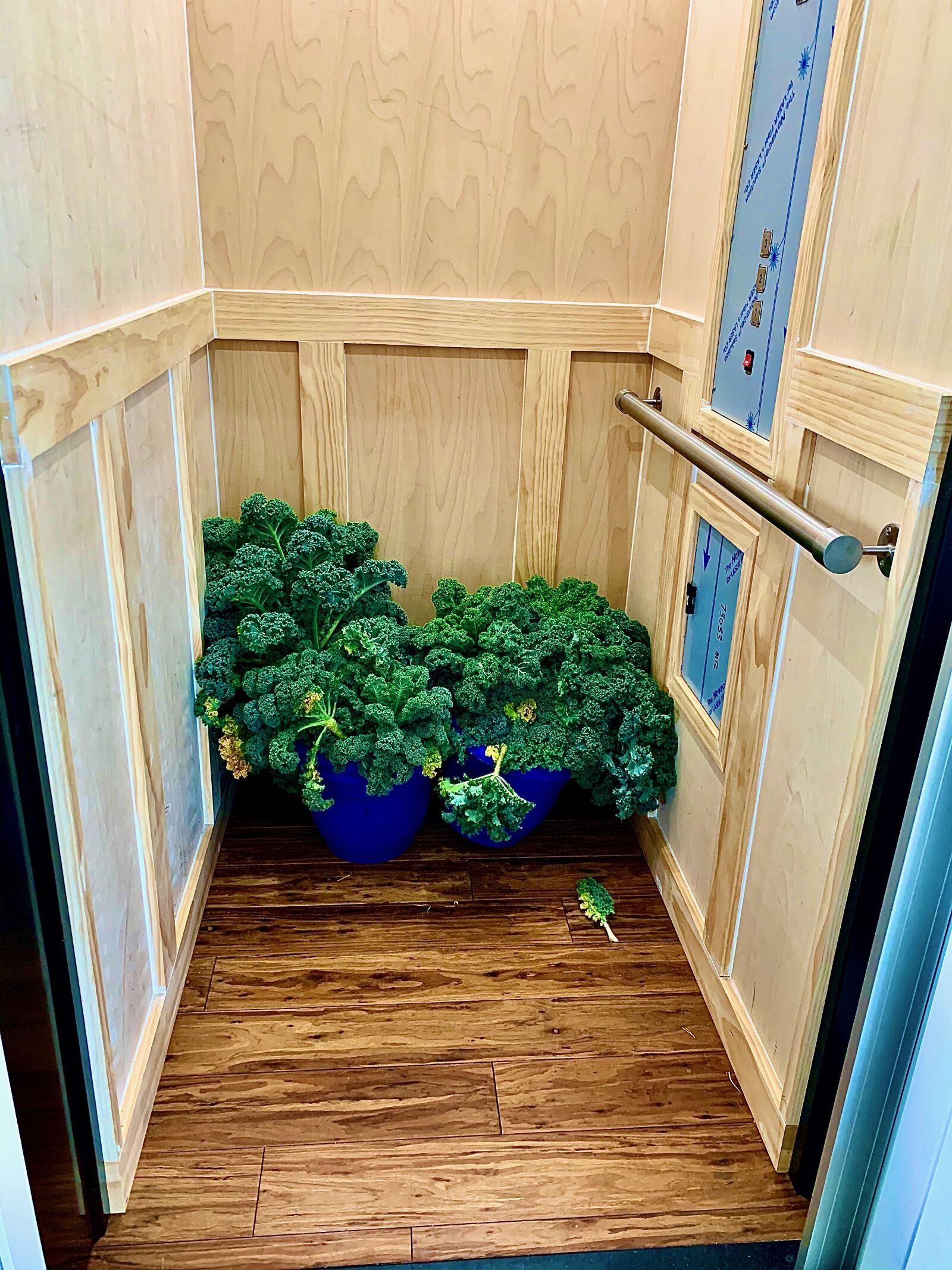 iPhone XR back camera 4.25mm f/1.8 sample photo. Plants, elevator, wood photography