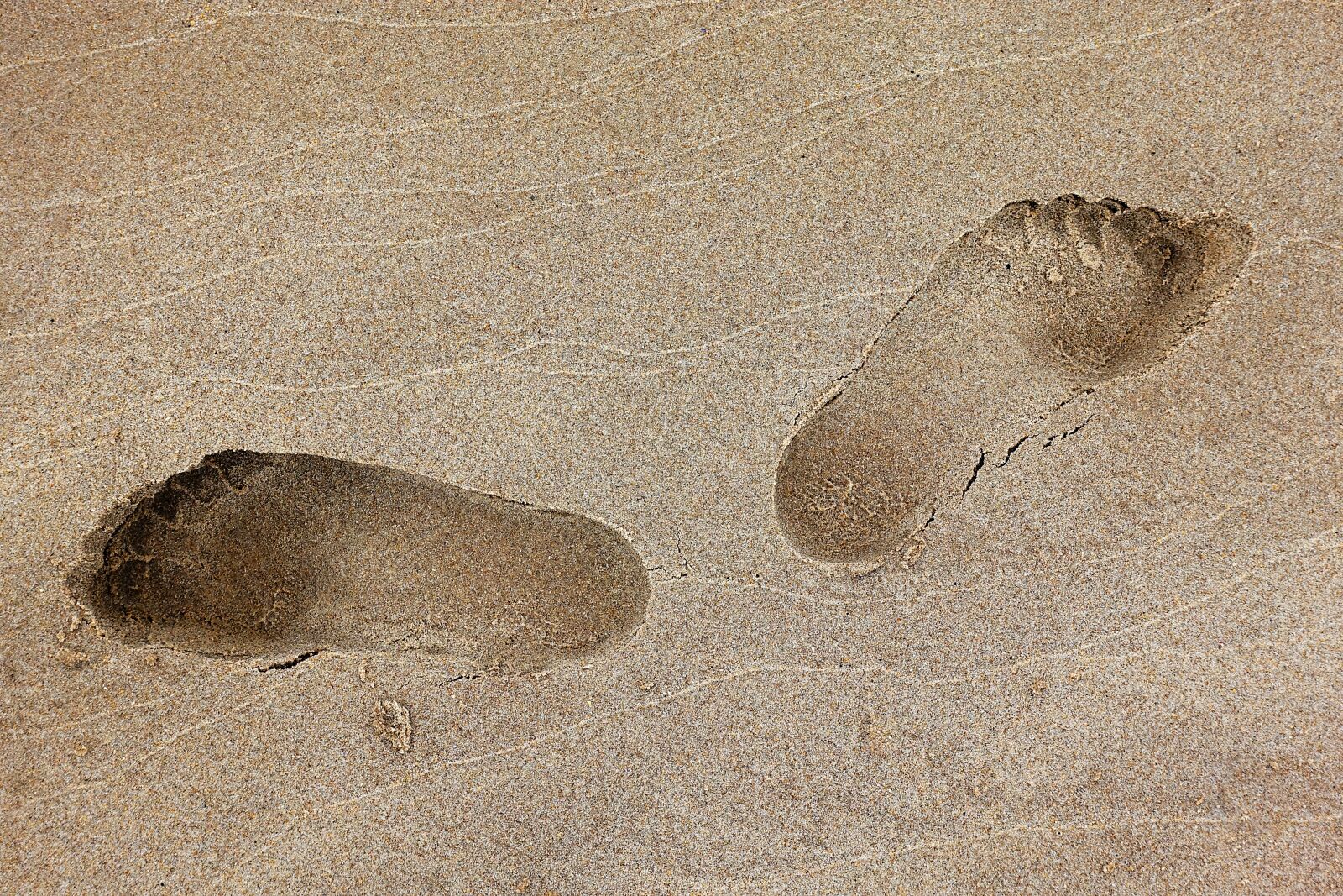 Sony DSC-RX100M5 sample photo. Footprint, foot, print photography