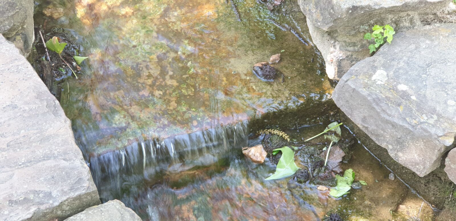 Samsung Galaxy Note9 sample photo. Flow, water, pond water photography