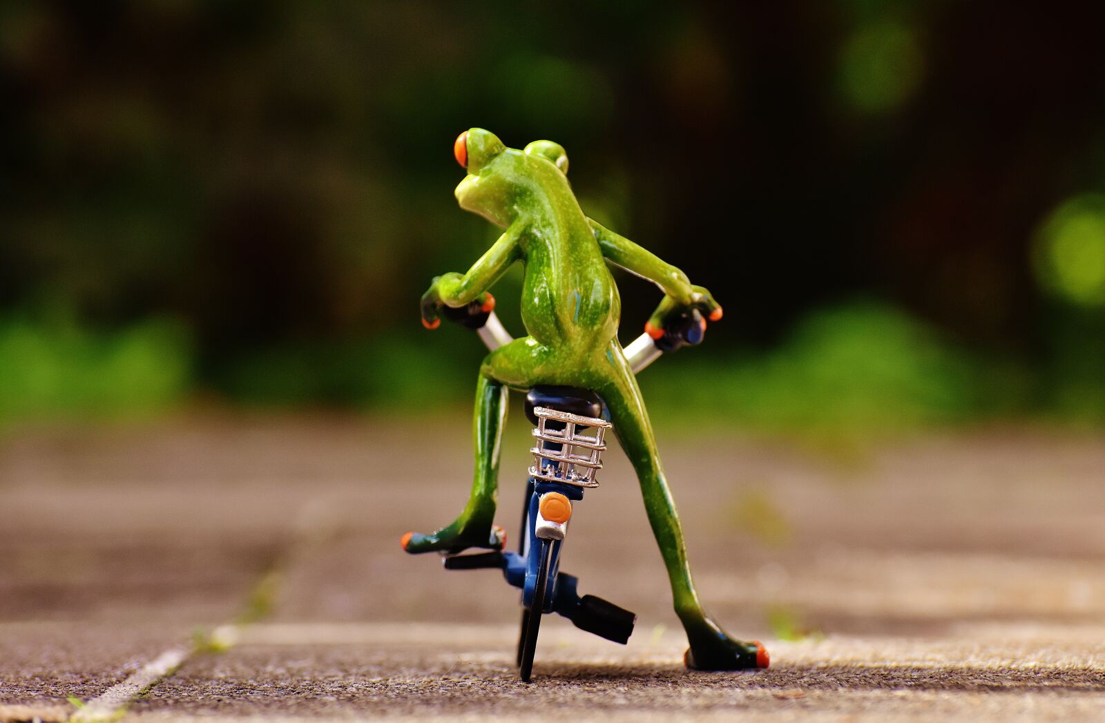 Nikon D7200 sample photo. Frog, bike, funny photography