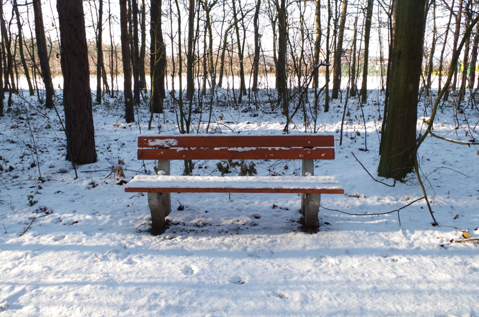 Pentax K-50 sample photo. Bench, forest, winter photography