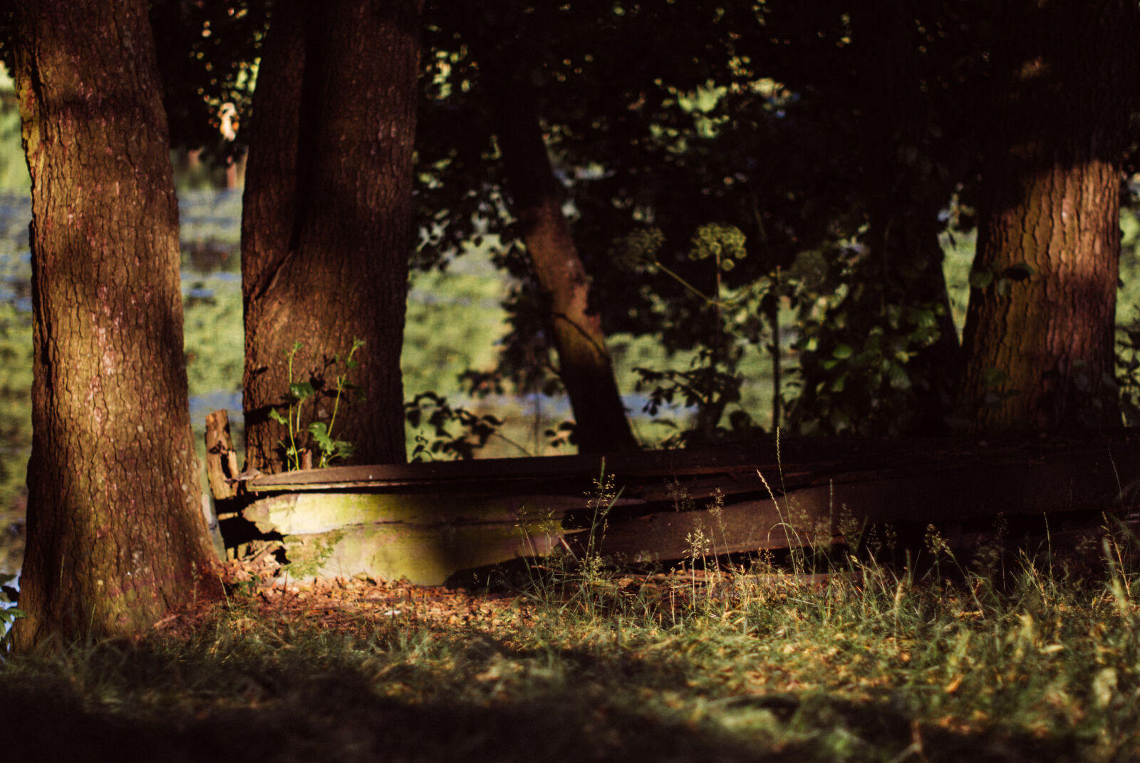 Nikon D60 sample photo. Boat, trees photography
