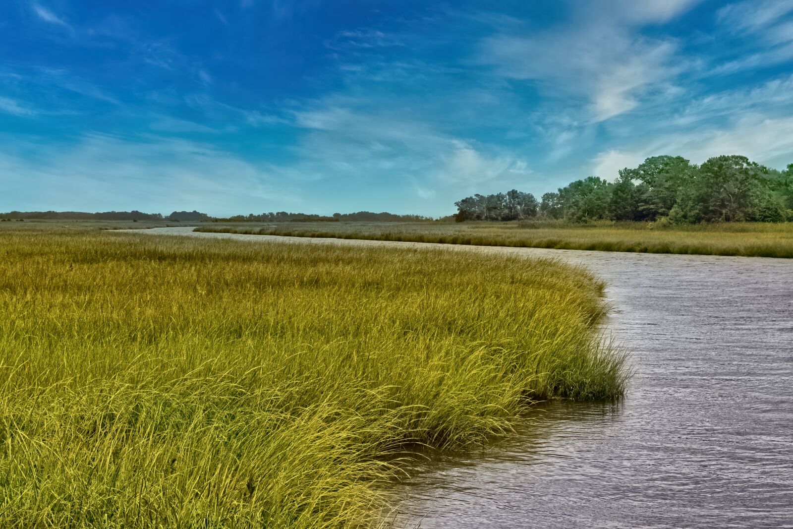 Nikon D3300 sample photo. Marsh, wetland, water photography