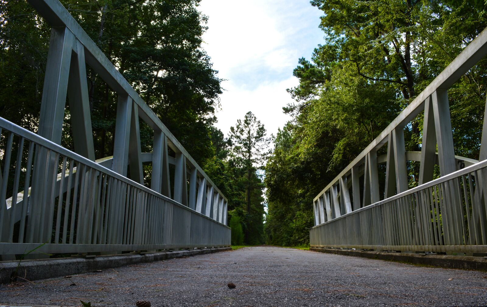 Nikon D5200 sample photo. Bridge, trail, nature photography