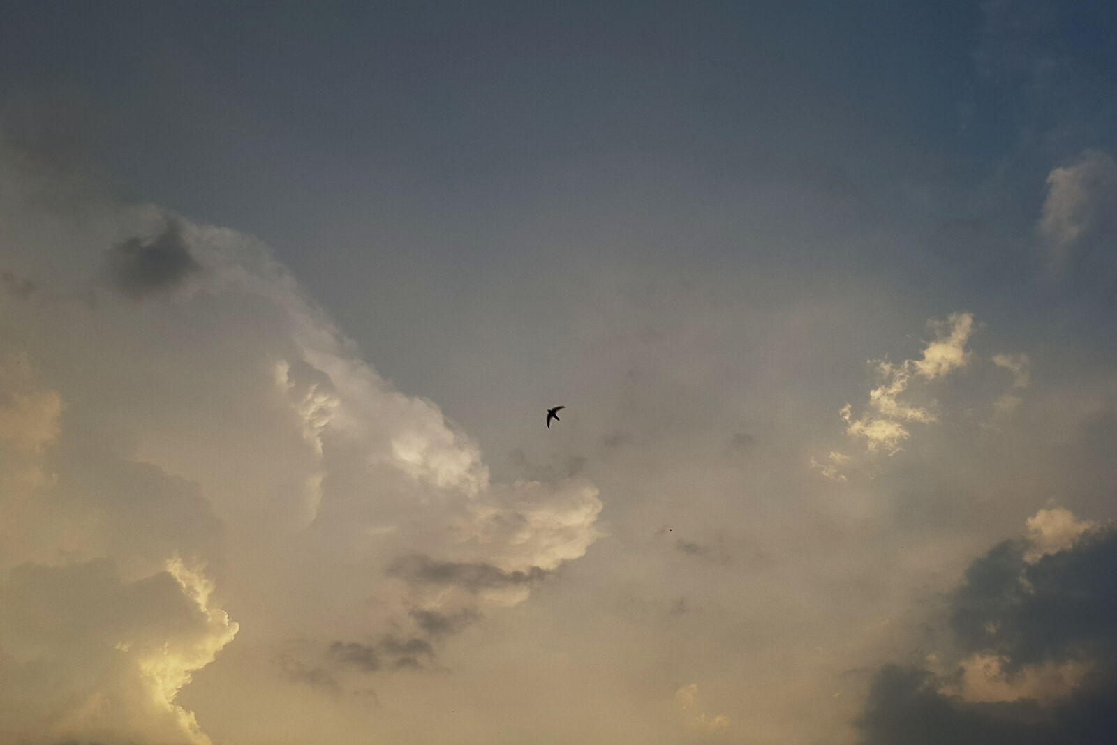 Samsung Galaxy S5 sample photo. Clouds, sky, sunset photography