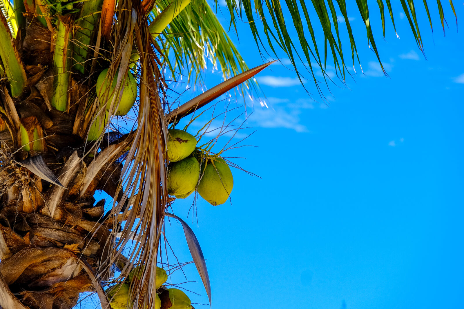 Fujifilm XF 18-135mm F3.5-5.6 R LM OIS WR sample photo. Blue, sky, clear, sky photography