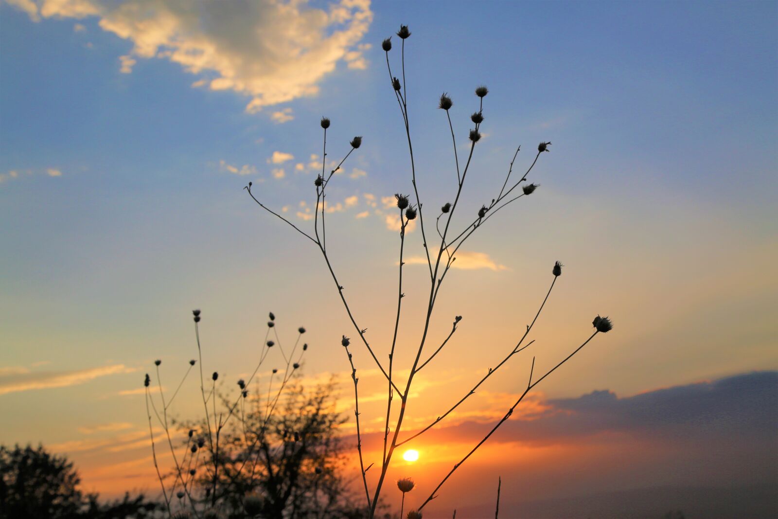 Canon EF 24-105mm F4L IS USM sample photo. Sunset, in the evening photography