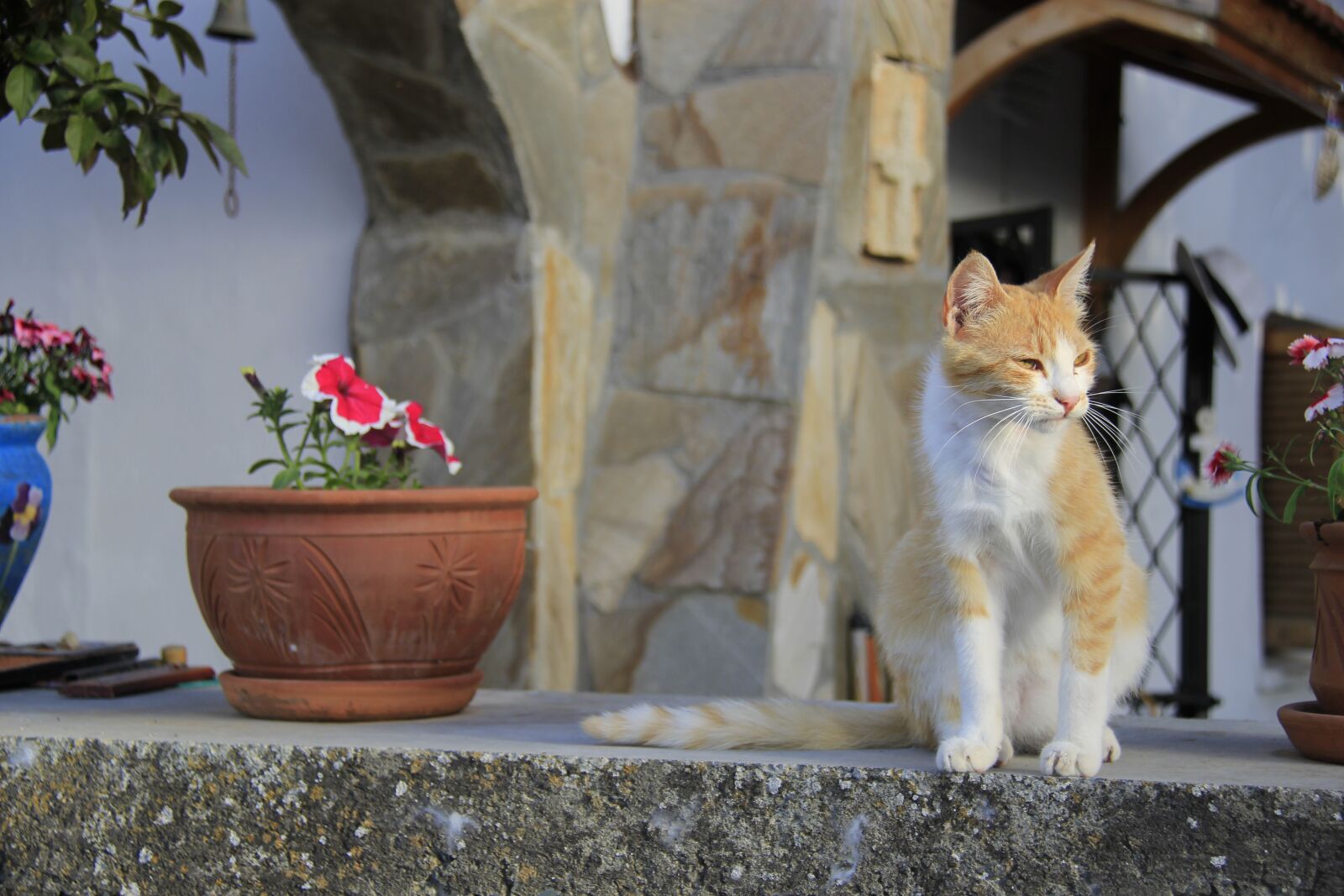 Canon EF-S 18-200mm F3.5-5.6 IS sample photo. Karaman village, north cyprus photography