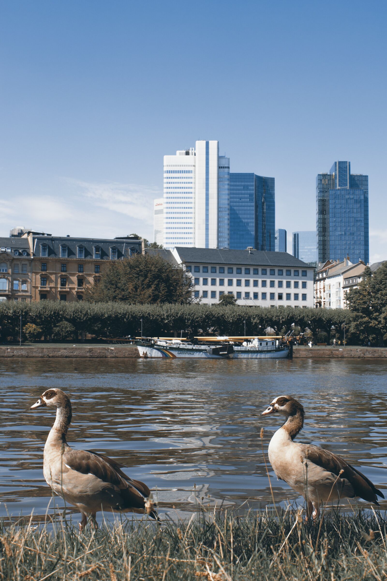 Canon EOS 650D (EOS Rebel T4i / EOS Kiss X6i) sample photo. Entirely, frankfurt, river photography