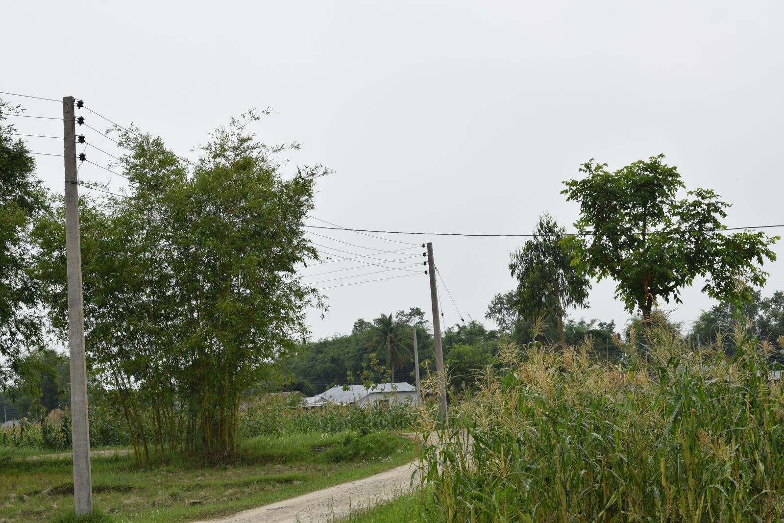 Nikon D5300 sample photo. Local road, gravel road photography