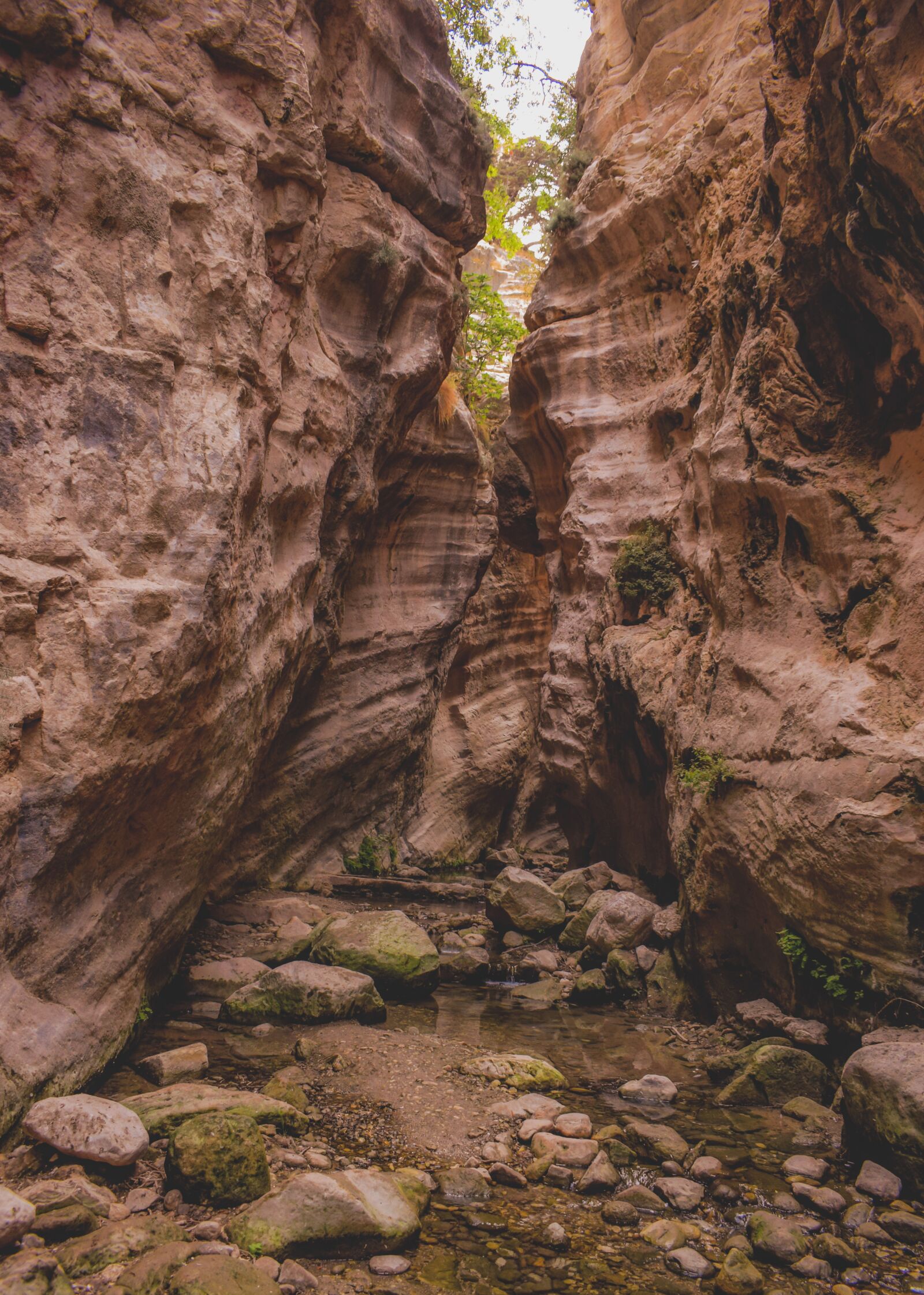 Nikon D3300 sample photo. Cyprus, akamas, avakas gorge photography