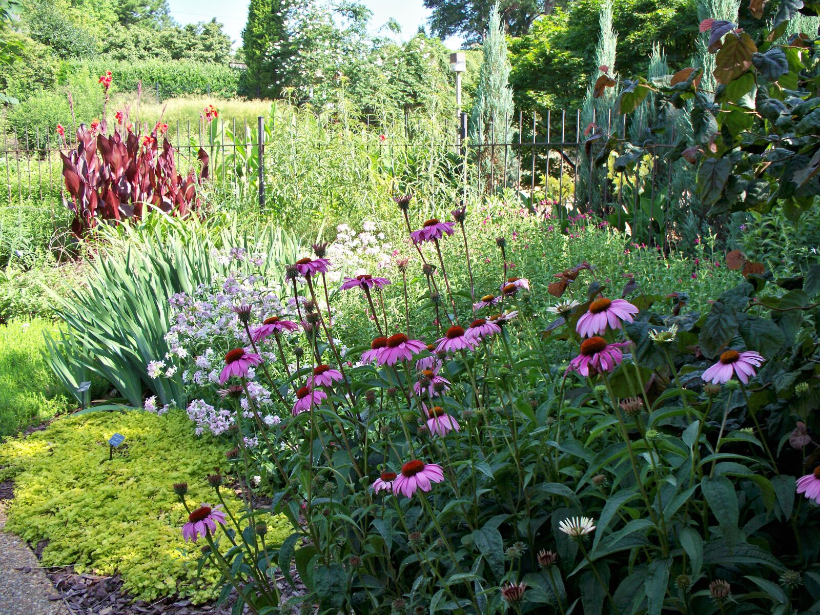 Kodak EASYSHARE Z1485 IS DIGITAL CAMERA sample photo. Garden, nature, landscape photography