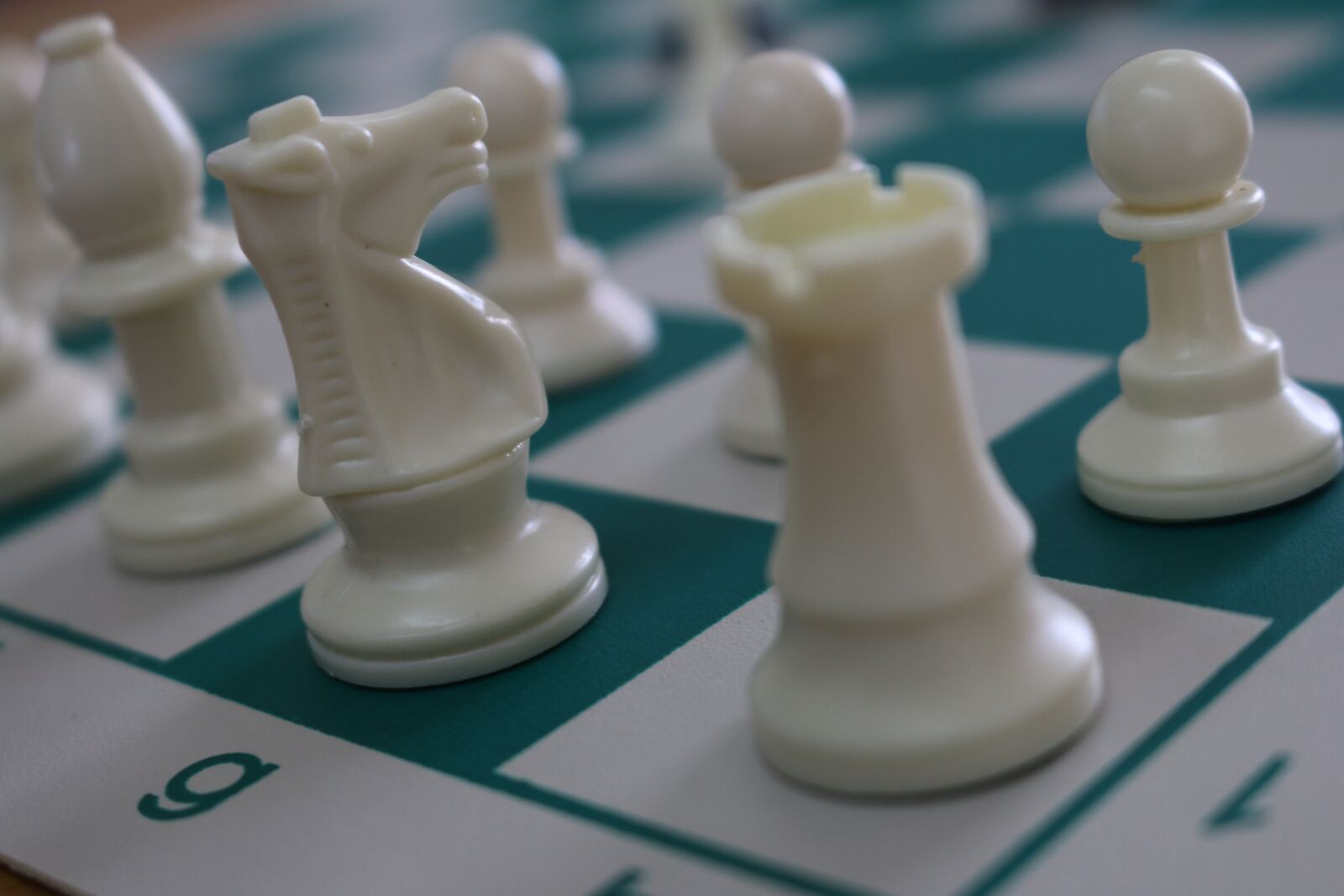 Canon EOS 70D sample photo. Chess, games, rook photography