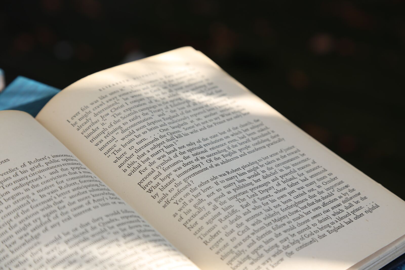 Canon EOS 6D + Canon EF 24-105mm F4L IS USM sample photo. Book, reading, rest photography