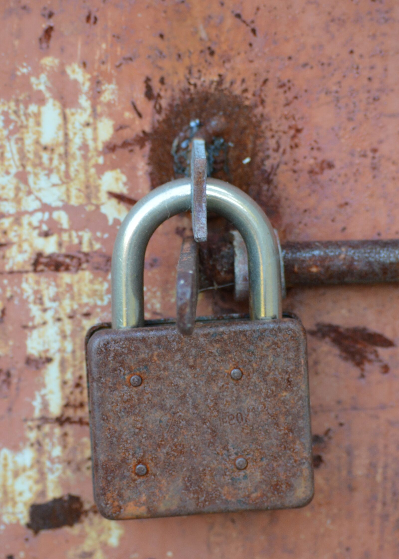 Nikon D3200 sample photo. Iron, padlock, old photography