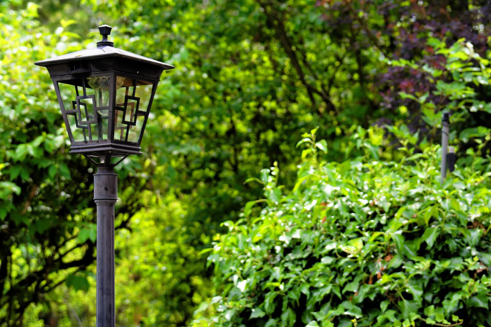Nikon D7200 sample photo. Street lamp, light, lantern photography