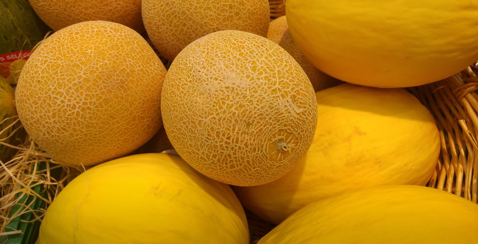 LG G4 sample photo. Melons, cantaloupe, fruit photography