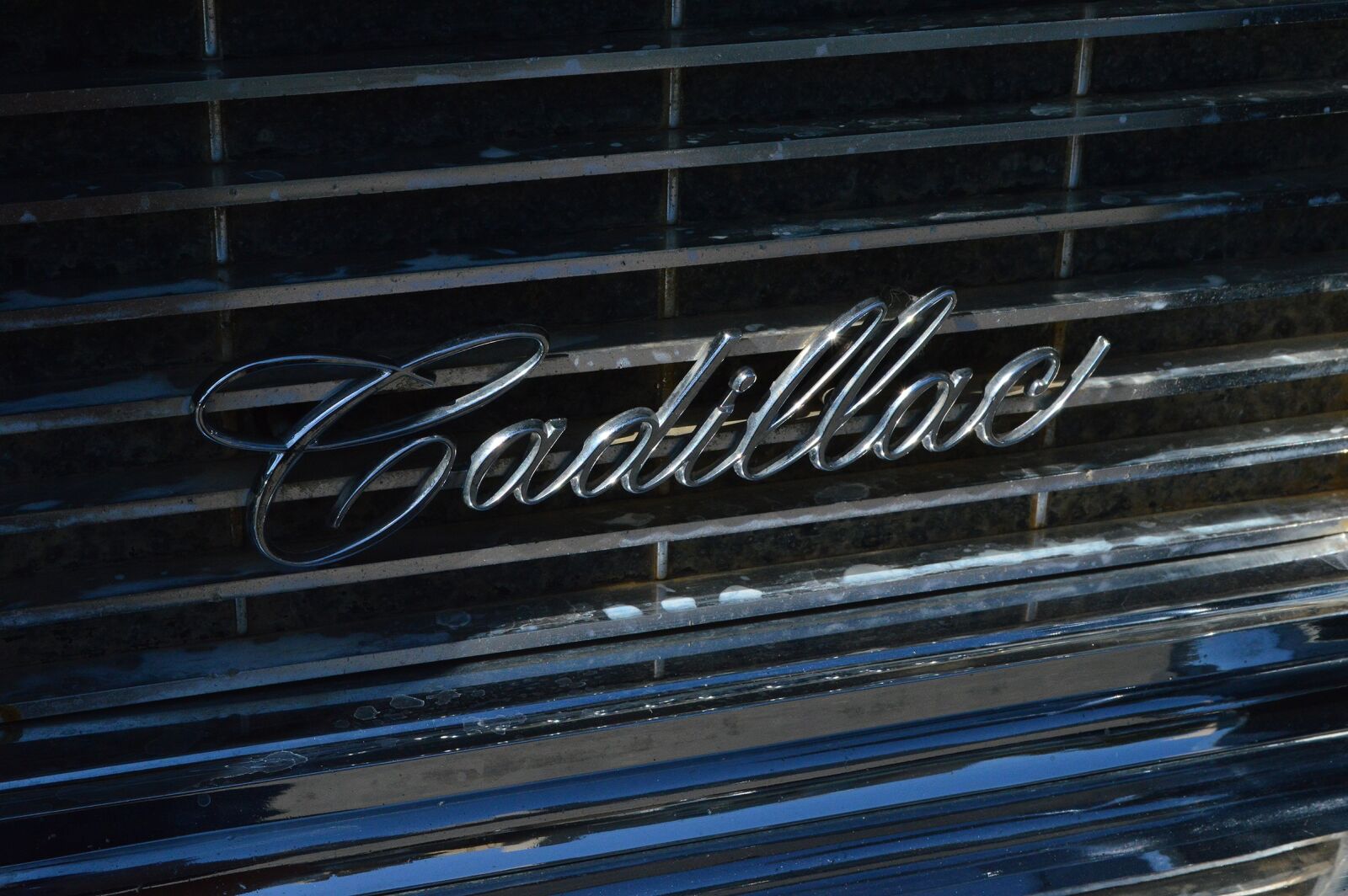 Nikon D3200 sample photo. Logo, cadillac, car photography