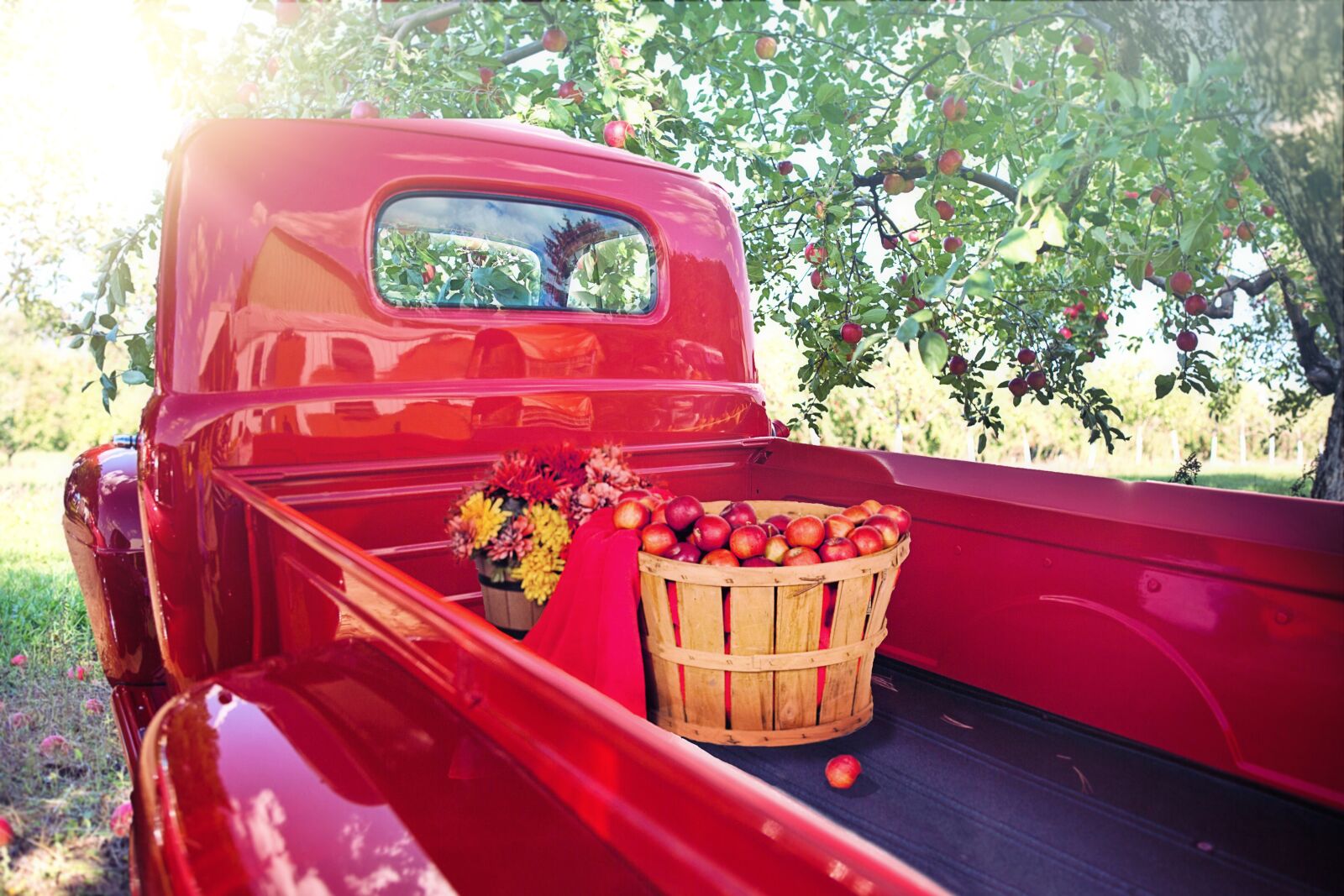 Canon EF 50mm F1.4 USM sample photo. Vintage, red, truck photography