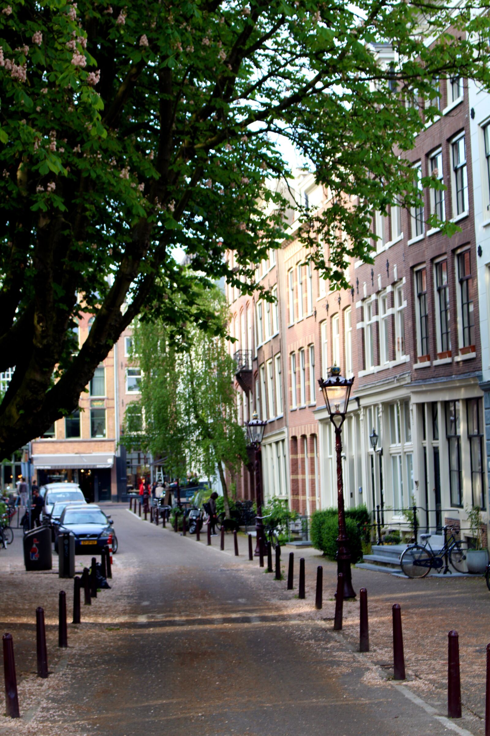 Canon EOS 700D (EOS Rebel T5i / EOS Kiss X7i) sample photo. Amsterdam, road, netherlands photography