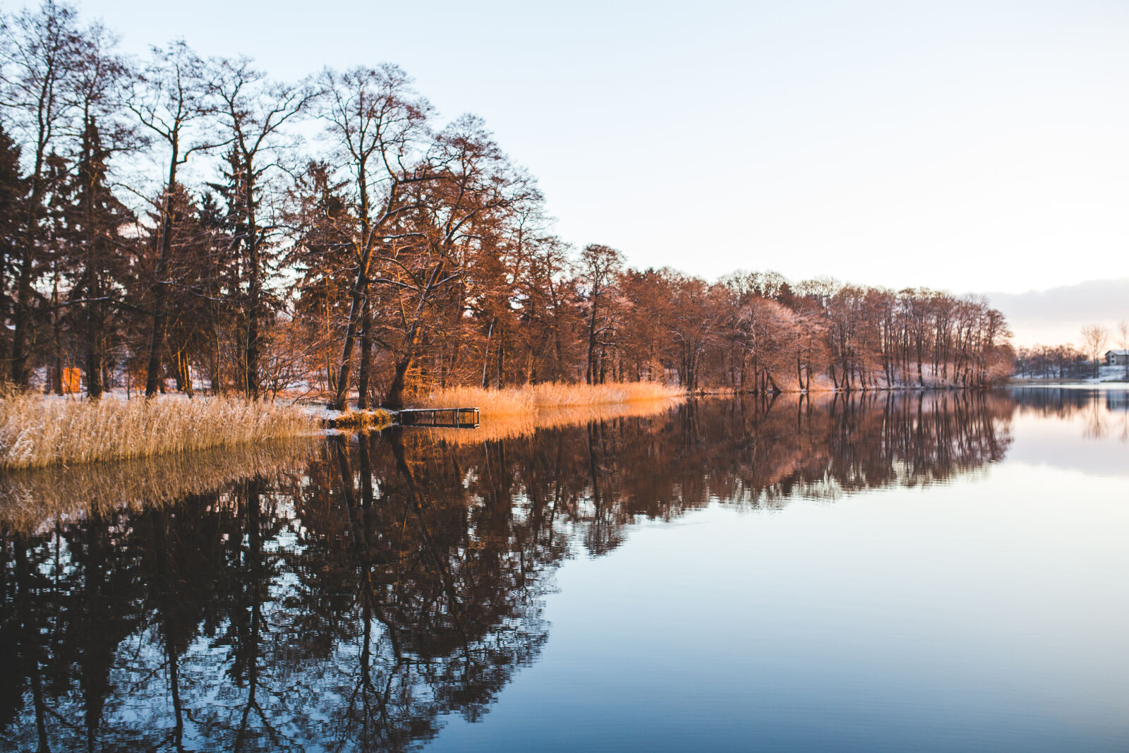 Canon EOS 6D + Sigma 35mm F1.4 DG HSM Art sample photo. Colorful, trees, mirroring, in photography