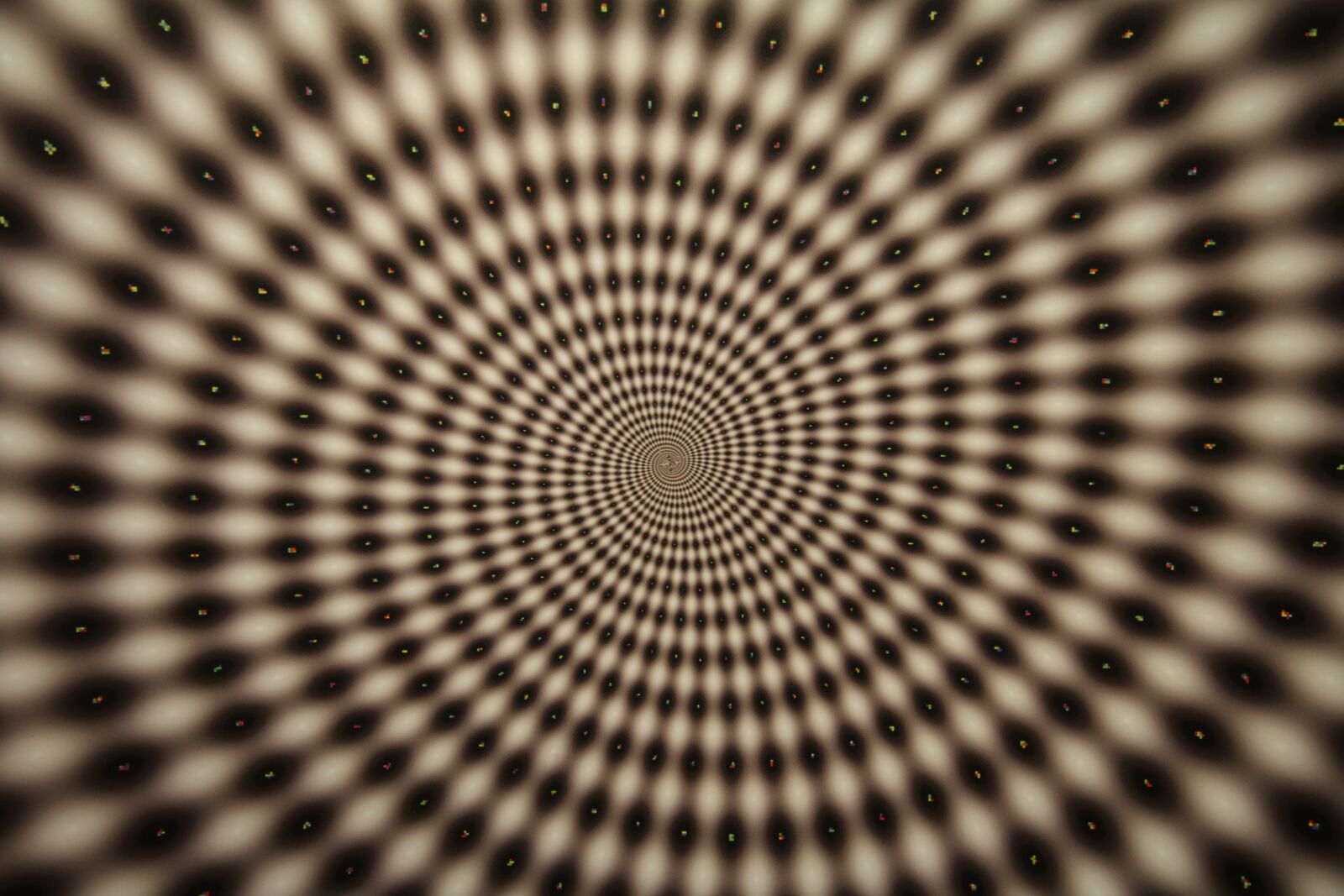Canon EF-S 17-85mm F4-5.6 IS USM sample photo. Hallucination, illusion, deception photography