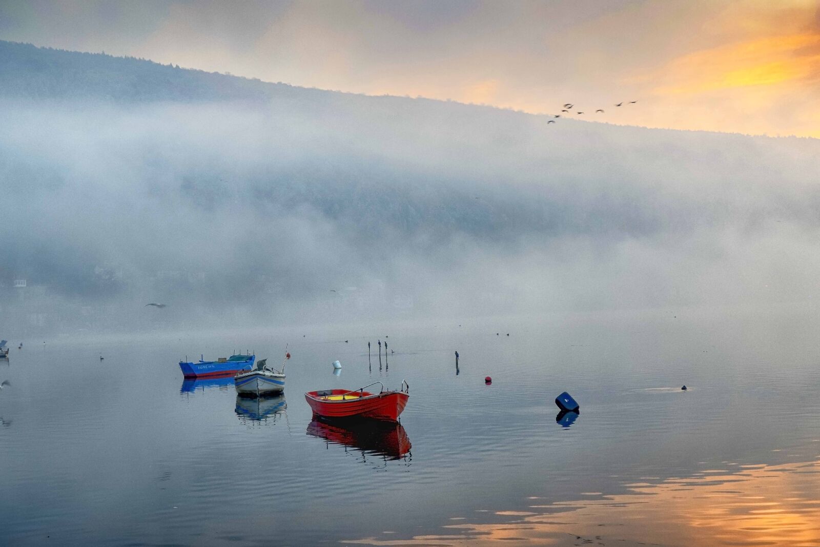 Nikon D5300 sample photo. Boats, fog, water photography