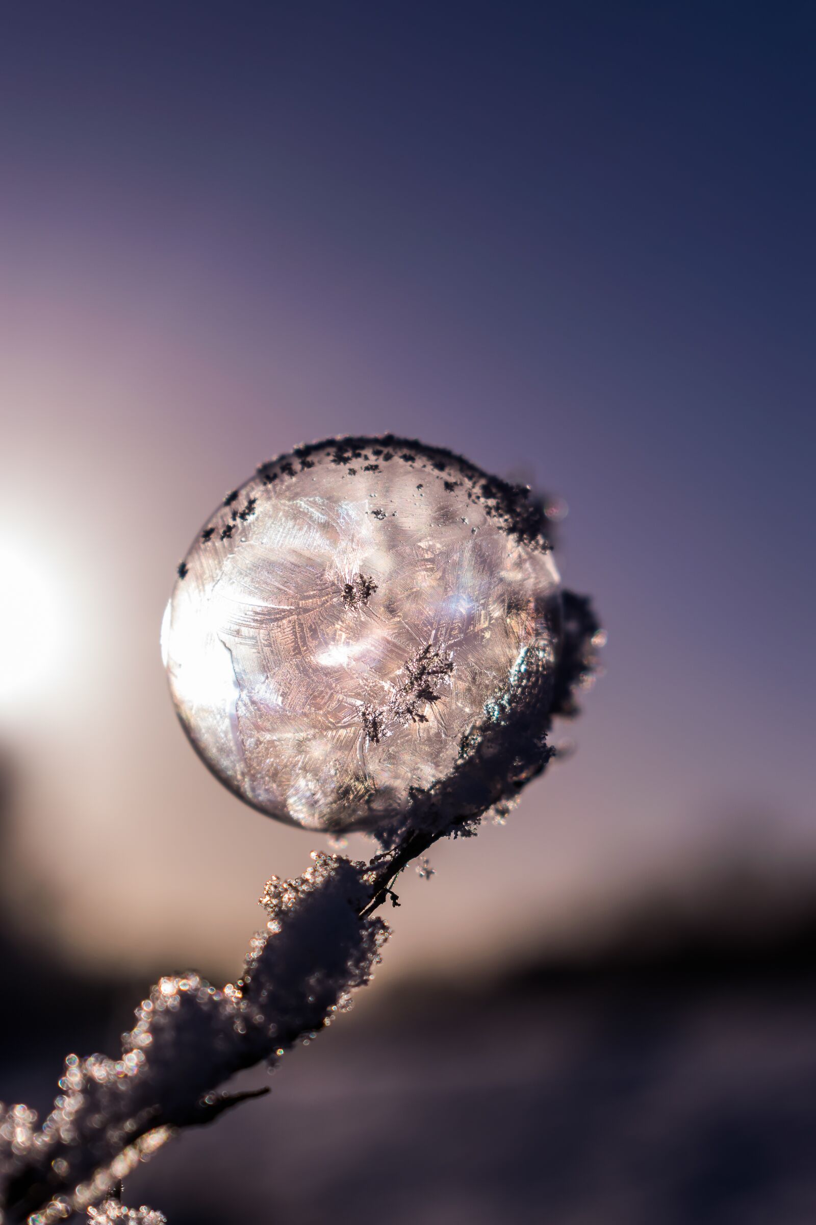 Nikon D5300 sample photo. Soap bubble, frozen, frozen photography